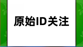 掌握公众号搜索原始ID关注技巧